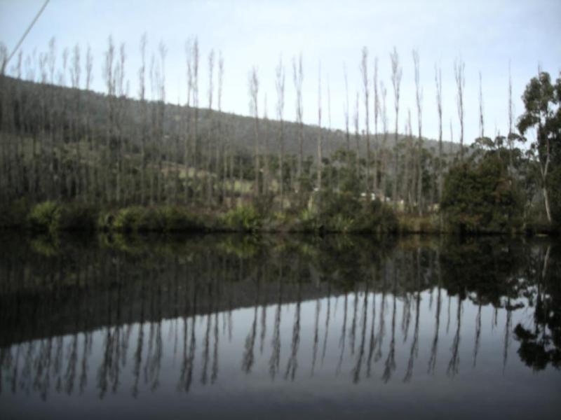 Port Huon Cottages Bagian luar foto